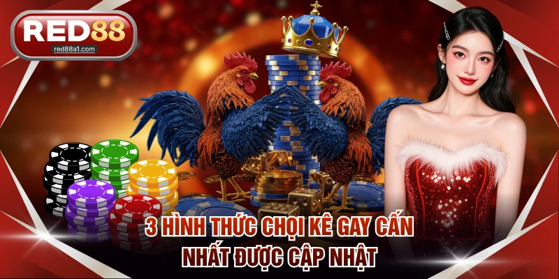 Đá Gà Online RED88 - 3 Loại Hình Thi Đấu Và Kèo Hot Nhất - comet89