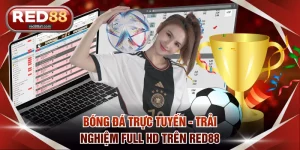 Tin Tức RED88 Mới Nhất – Cập Nhật Cá Cược, Khuyến Mãi & Sự Kiện Hot - comet89
