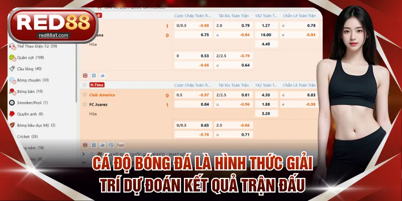Cá Độ Bóng Đá RED88 - Đem Lại Không Gian Đặt Cược Uy Tín - comet89