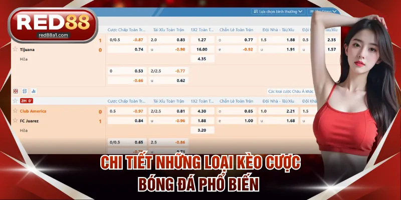 Cá Độ Bóng Đá RED88 - Đem Lại Không Gian Đặt Cược Uy Tín - comet89