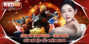 RED88 - RED88.COM | Nhà Cái Casino, Thể Thao, Nổ Hũ Top #1 - comet89