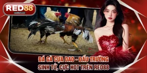RED88 - RED88.COM | Nhà Cái Casino, Thể Thao, Nổ Hũ Top #1 - comet89