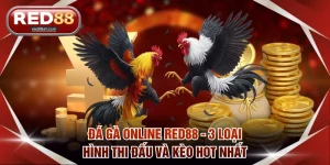 RED88 - RED88.COM | Nhà Cái Casino, Thể Thao, Nổ Hũ Top #1 - comet89