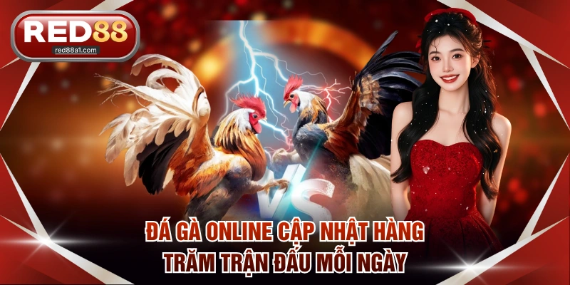 Đá Gà Online RED88 - 3 Loại Hình Thi Đấu Và Kèo Hot Nhất - comet89