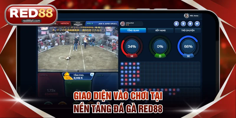Đá Gà RED88 - Thế Giới Giải Trí Cùng Chiến Kê Đẳng Cấp - comet89