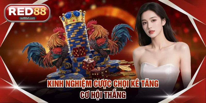 Chọi Gà Campuchia - Cách Thức Giải Trí Đặc Sắc Trên RED88 - comet89