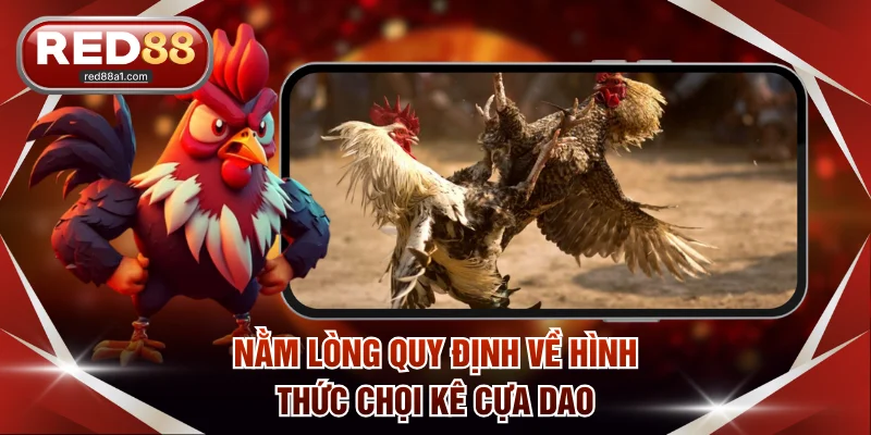 Đá Gà Cựa Dao - Đấu Trường Sinh Tử, Cực Hot Trên RED88 - comet89
