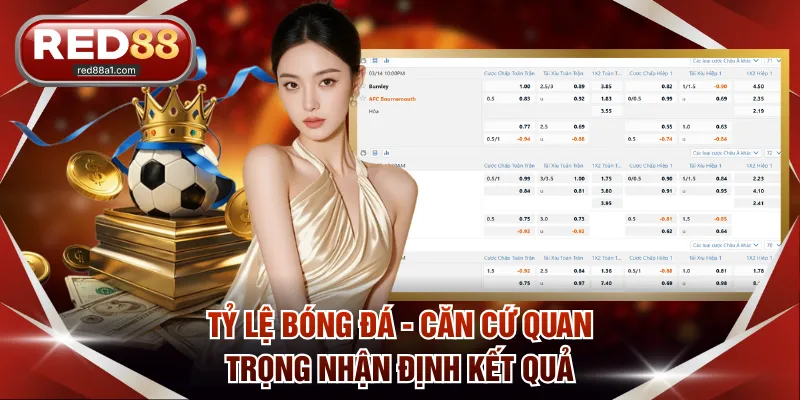 Tỷ Lệ Bóng Đá RED88 - Chỉ Số Được Đưa Ra Từ Nhiều Căn Cứ - comet89